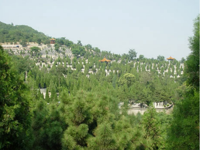 微信图片_20200211193134.png