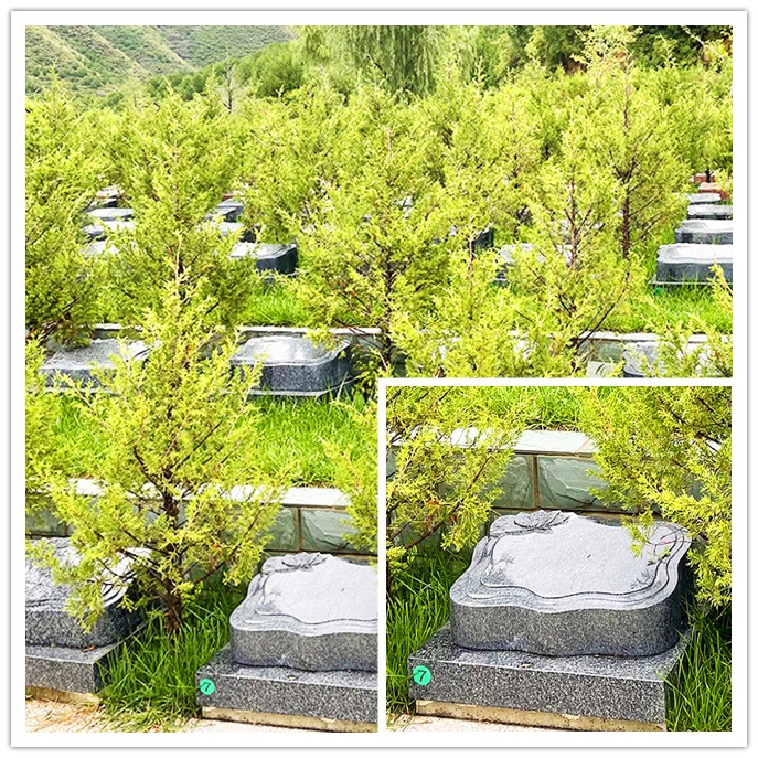 北京周边回民墓地价格是多少？回民墓地在哪里？