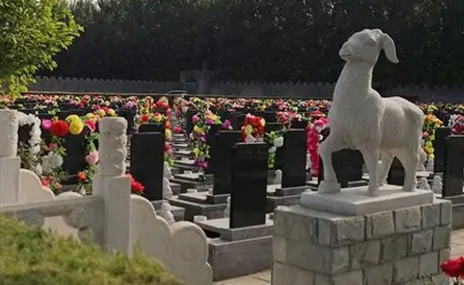 下载 (4).png