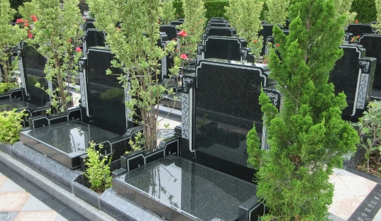 下载 (7).png