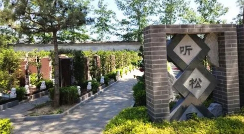 下载 (8).png