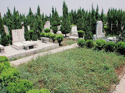 墓地20年后怎么缴费,应该这样去理解