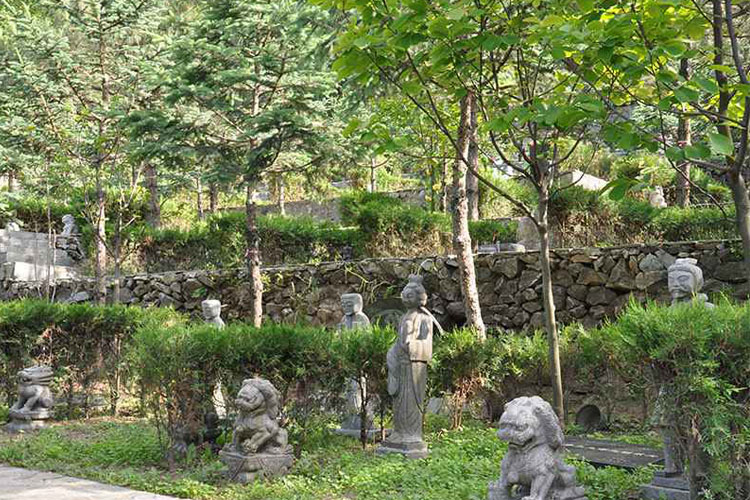 北京九公山纪念林