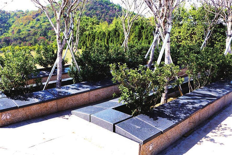 北京哪里有接受骨灰树葬的  应该如何选择树葬场所