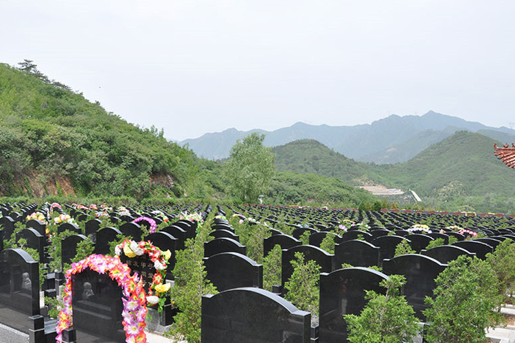 北京景仰园树葬公墓  在这里如何省钱的认购