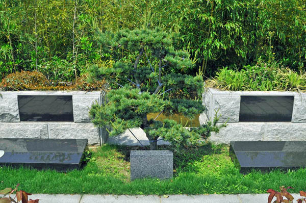 北京市长青园植树葬  通过什么方式可以抵达