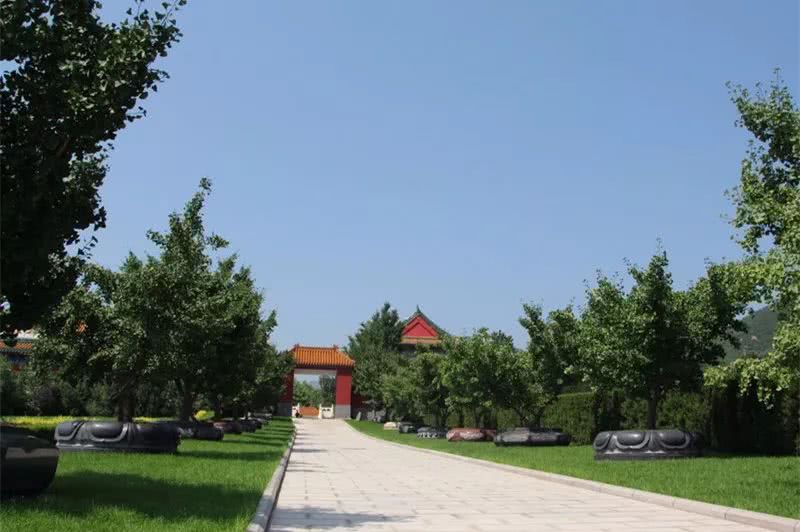 北京树葬指定区域有哪些？哪些墓地可以树葬？