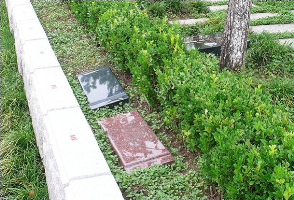 北京太子峪陵园树葬好不好，为什么好