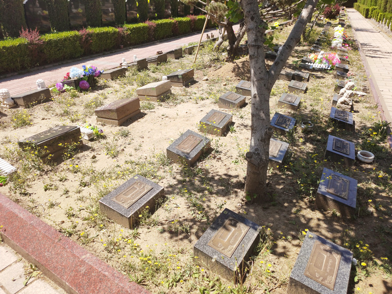 北京有树葬的陵园都具备什么条件，这些内容不能忽视