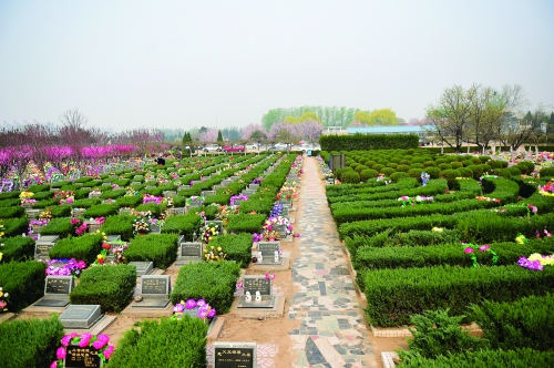 北京太子峪树葬的优点，都有什么形式