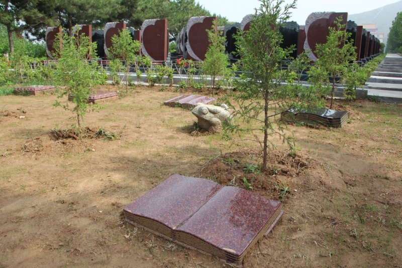 北京选择树葬有什么手续？北京树葬办理麻烦吗