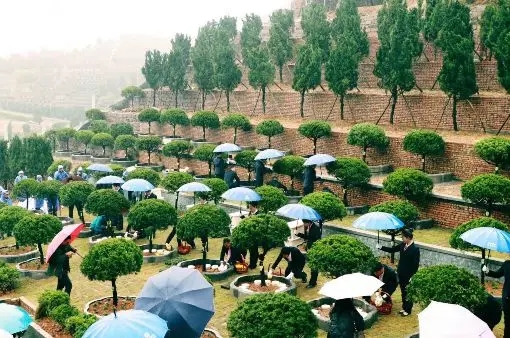 北京景仰园树葬公墓怎么样？公墓环境如何？