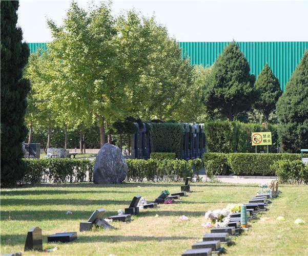 长青园骨灰林基地怎么样