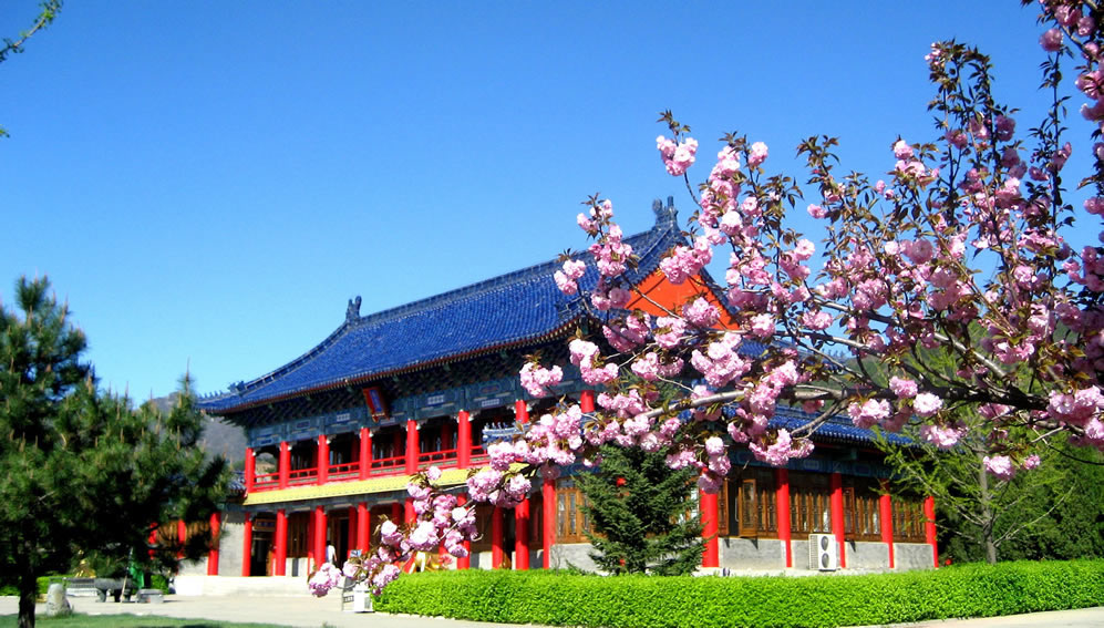 清东陵万佛园