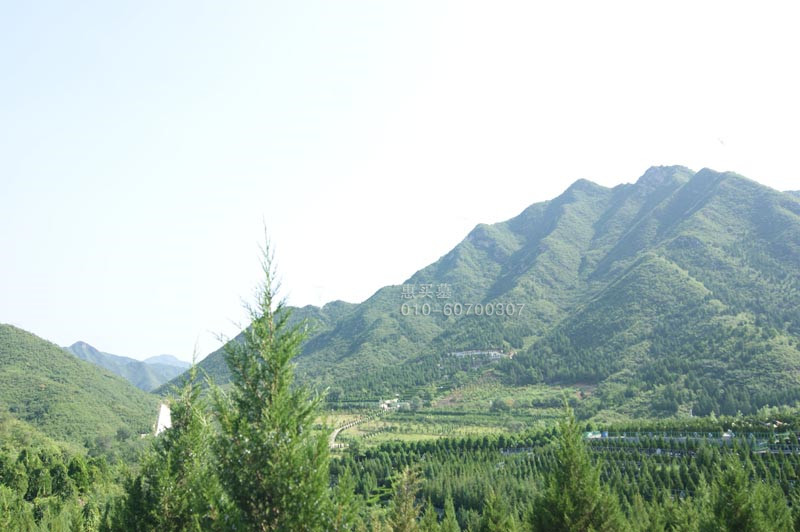 景仰园骨灰林